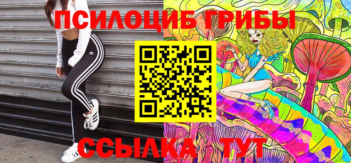 Галлюциногенные грибы MAGIC MUSHROOMS  Вход с VPN  Псилоцибиновые грибы Psilocybe  Ефремов 
