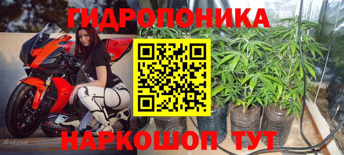 Марихуана OG Kush  Конопля планчик  Ефремов  МАРИХУАНА гибрид  Вход с VPN 